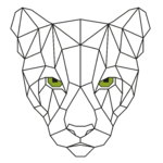 Panther Construction